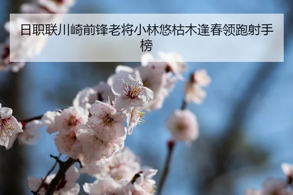 ri-zhi-lian-chuan-qi-qian-feng-lao-jiang-xiao-lin-you-ku-mu-feng-chun-ling-pao-she-shou-bang-3-919.jpg