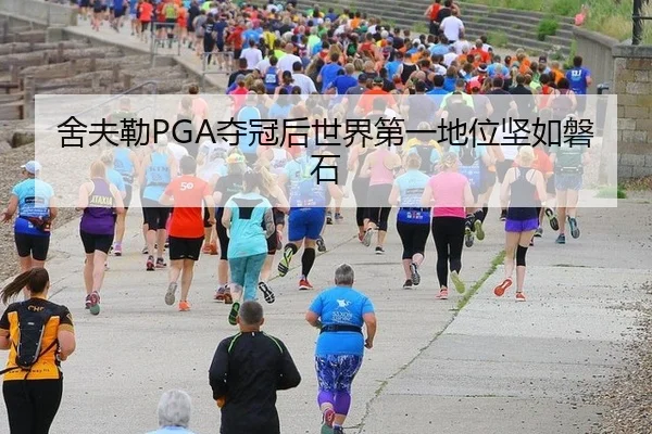 舍夫勒PGA夺冠后世界第一地位坚如磐石