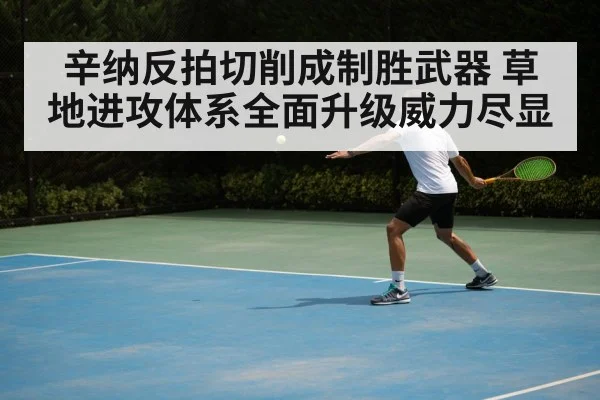 辛纳反拍切削成制胜武器 草地进攻体系全面升级威力尽显
