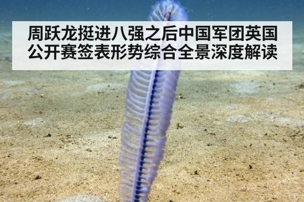 周跃龙挺进八强之后中国军团英国公开赛签表形势综合全景深度解读